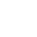 Custom Software Icon